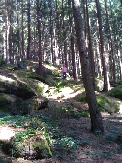 img00066.jpg