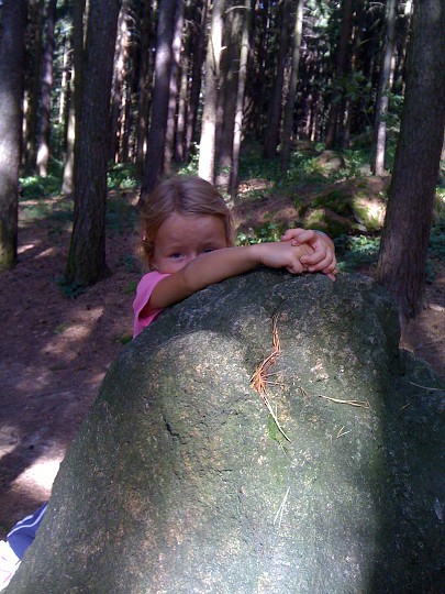 img00070.jpg