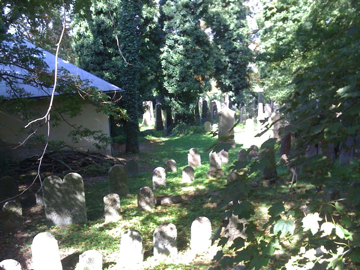 img00075.jpg