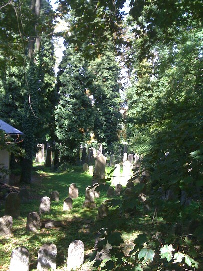 img00076.jpg