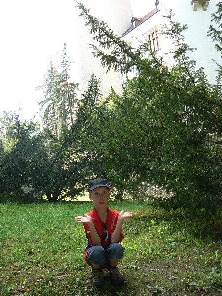 img00006.jpg