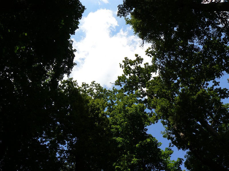 img00027.jpg