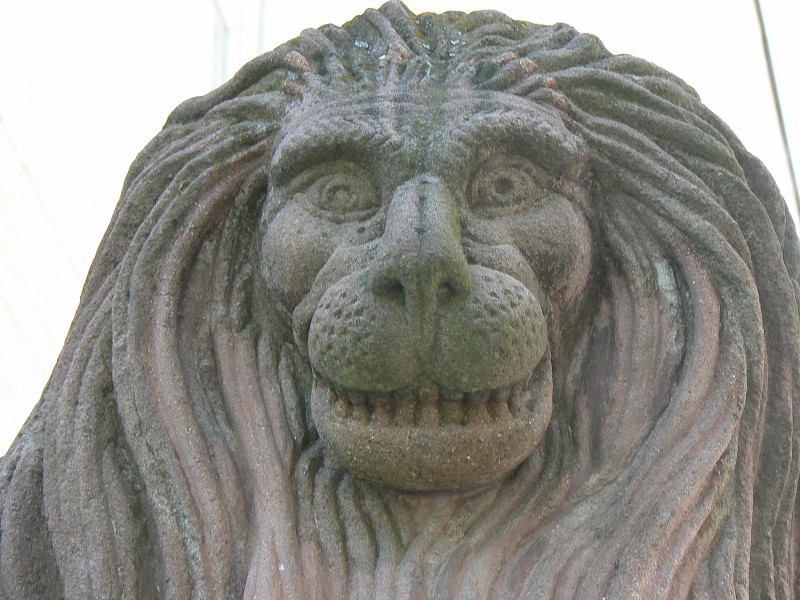img00060.jpg