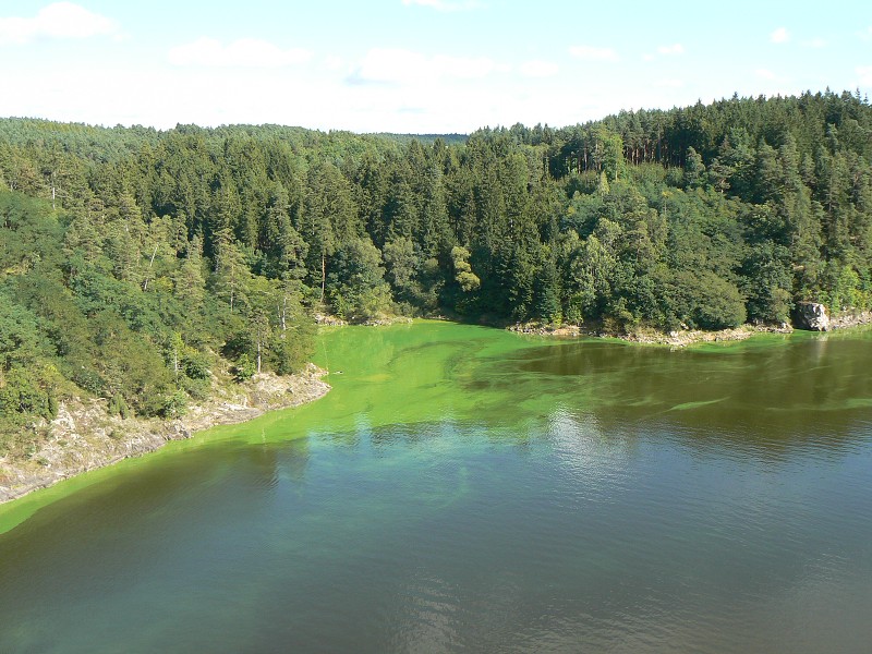 img00038.jpg