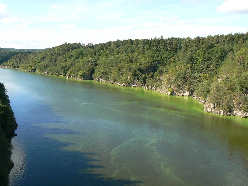 img00042.jpg