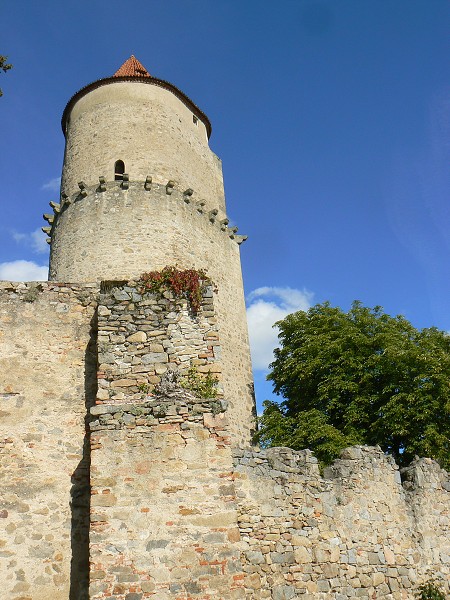 img00064.jpg