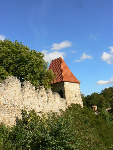 img00065.jpg