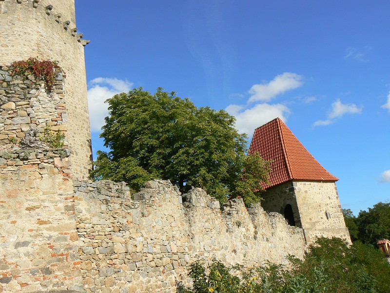img00066.jpg
