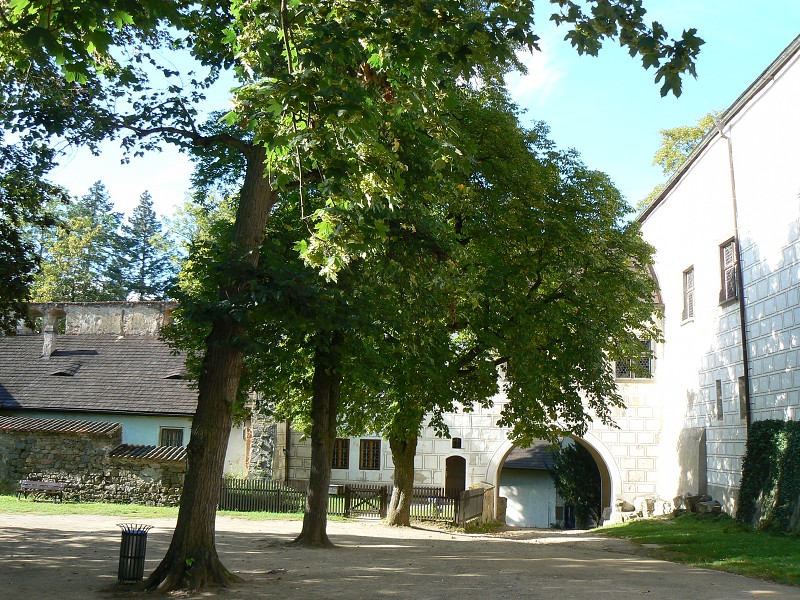img00077.jpg
