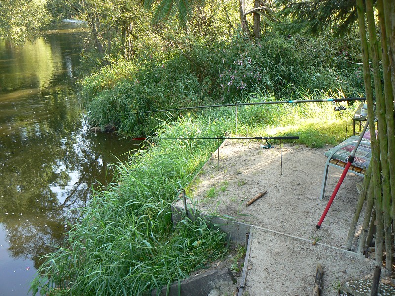 img00099.jpg