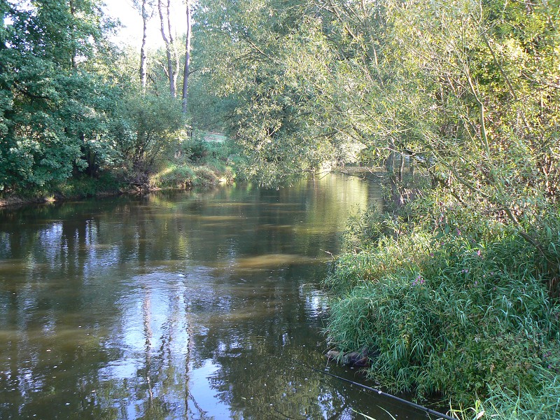 img00100.jpg