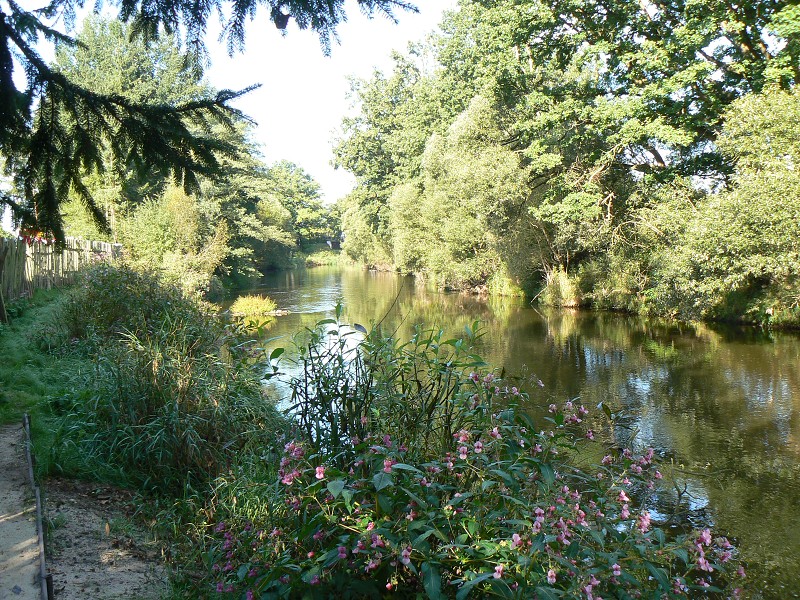 img00101.jpg