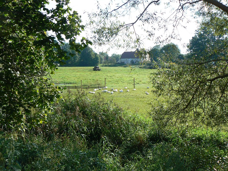 img00105.jpg
