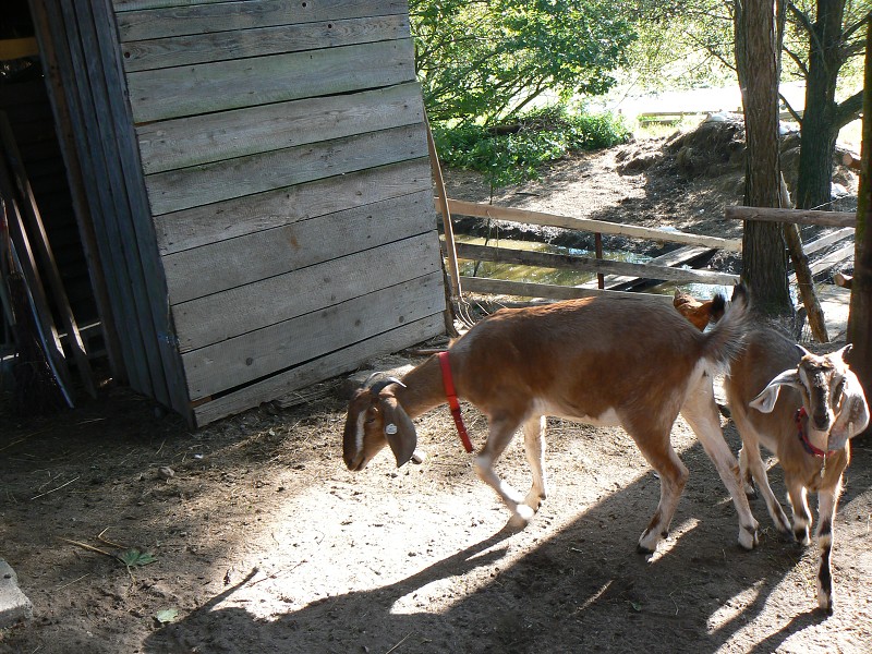 img00108.jpg