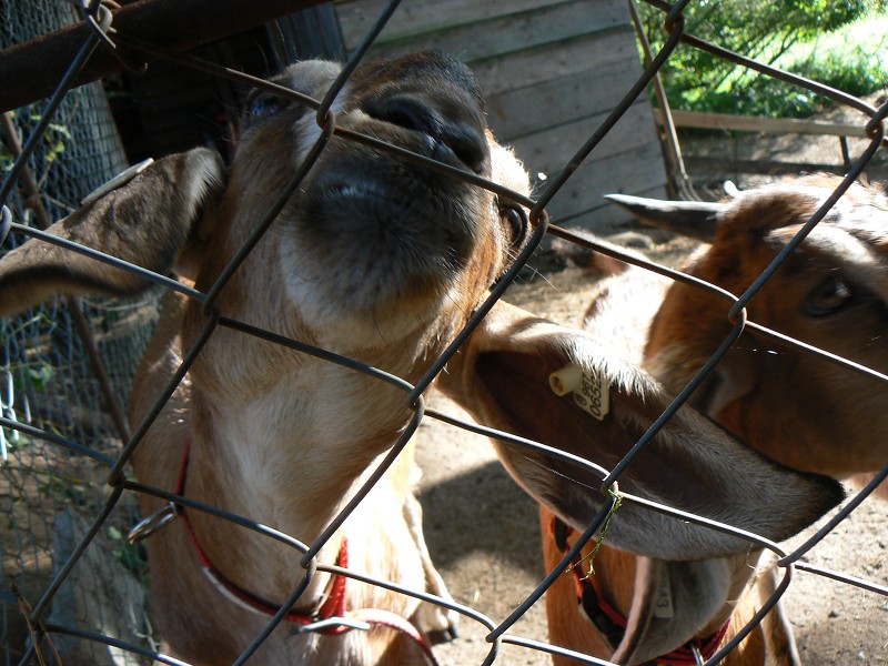img00109.jpg