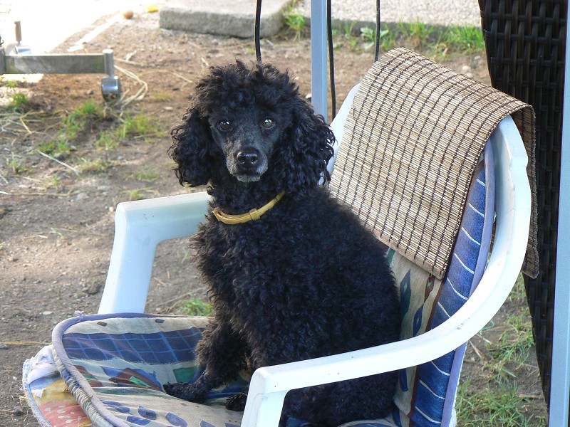 img00111.jpg
