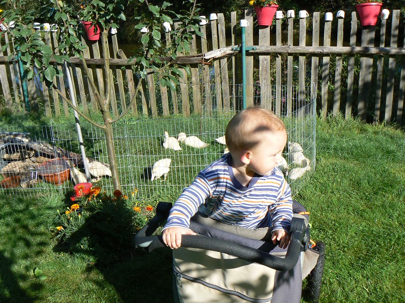img00112.jpg