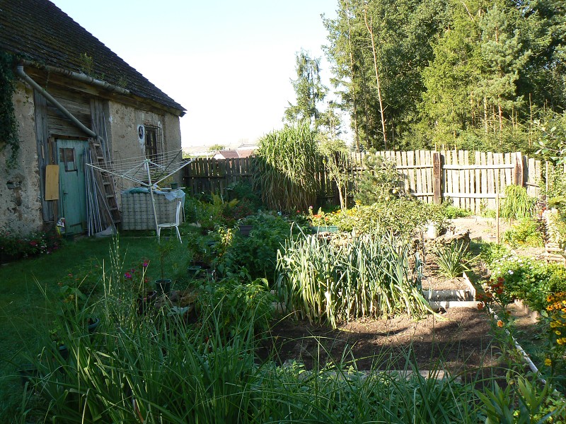 img00116.jpg