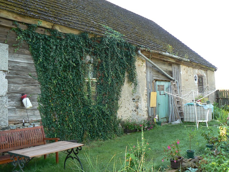 img00117.jpg