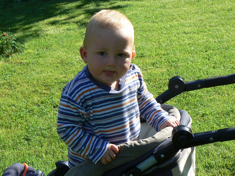 img00118.jpg
