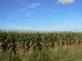 Agroturismus