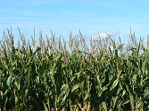 Agroturismus