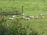Agroturismus