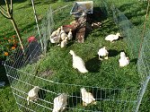 Agroturismus