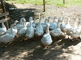 Agroturismus