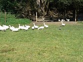 Agroturismus