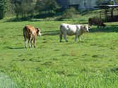 Agroturismus
