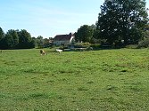 Agroturismus