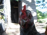 Agroturismus