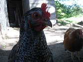 Agroturismus