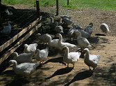 Agroturismus