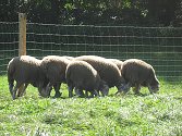 Agroturismus