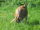 Agroturismus