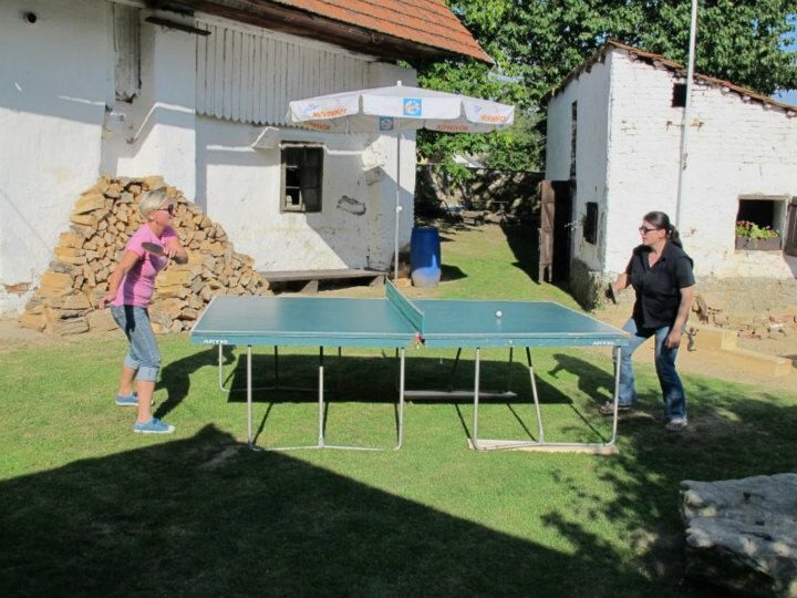 img00032.jpg