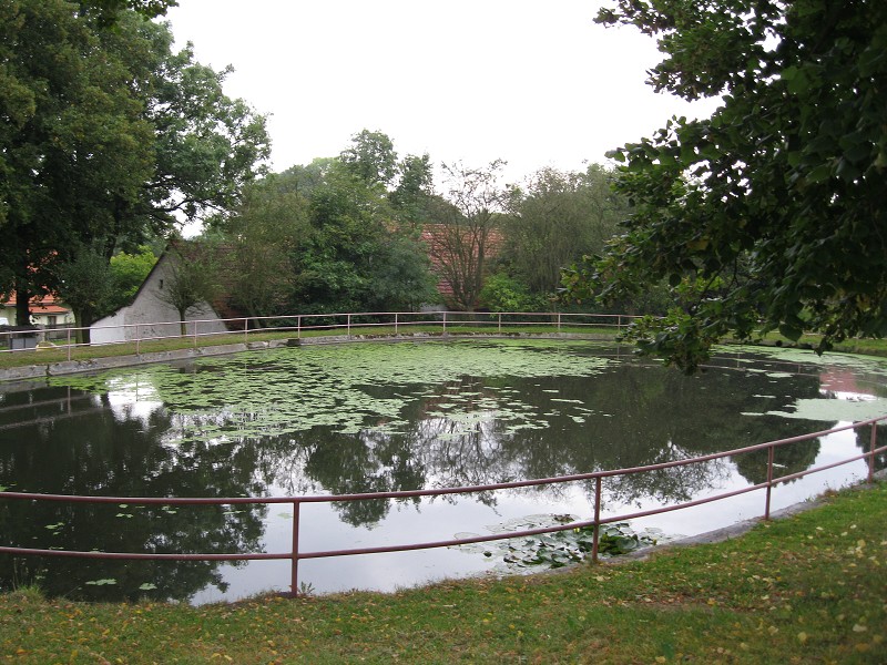 img00063.jpg