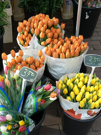 img00021.jpg