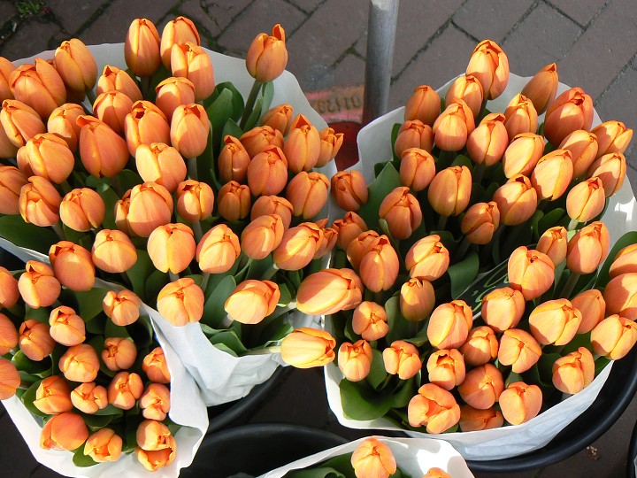 img00022.jpg
