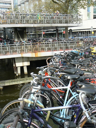 img00029.jpg