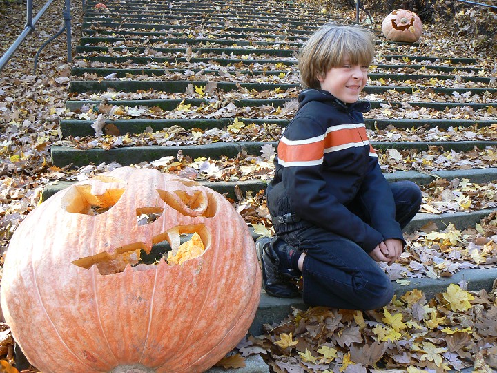 img00010.jpg