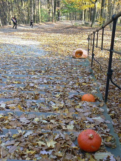 img00035.jpg