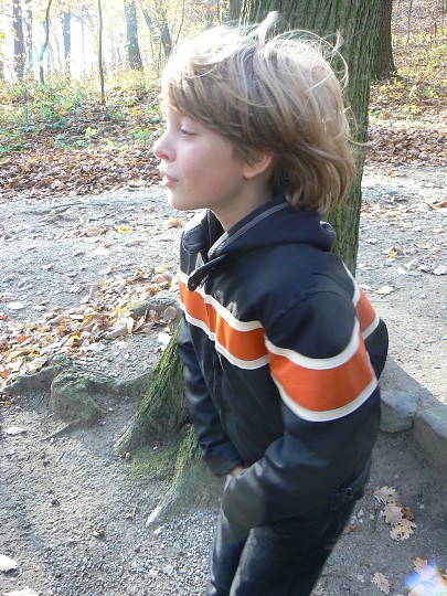 img00037.jpg