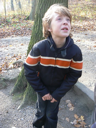 img00038.jpg