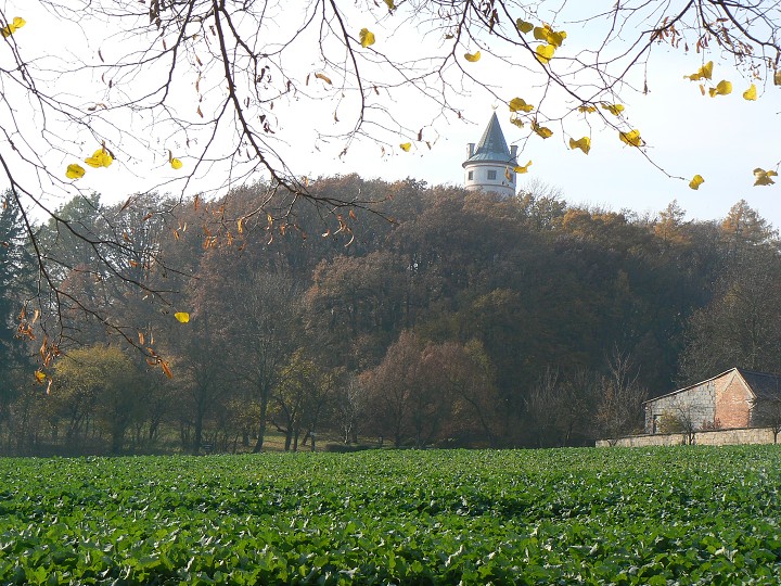 img00040.jpg